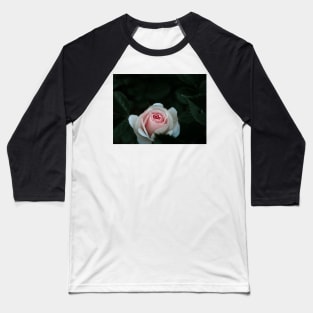 Rose - macro poster Baseball T-Shirt